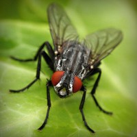 /album/owudaned/photolia-a01-jpg/