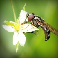 /album/owudaned/photolia-a02-jpg/