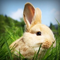 /album/owudaned/photolia-a03-jpg/