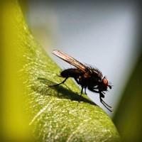 /album/owudaned/photolia-a04-jpg/