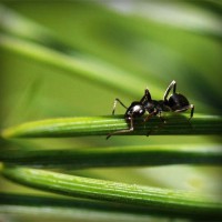 /album/owudaned/photolia-a05-jpg/