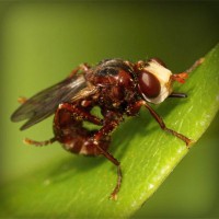 /album/owudaned/photolia-a06-jpg/