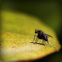 /album/owudaned/photolia-a07-jpg/