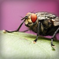 /album/owudaned/photolia-a08-jpg/